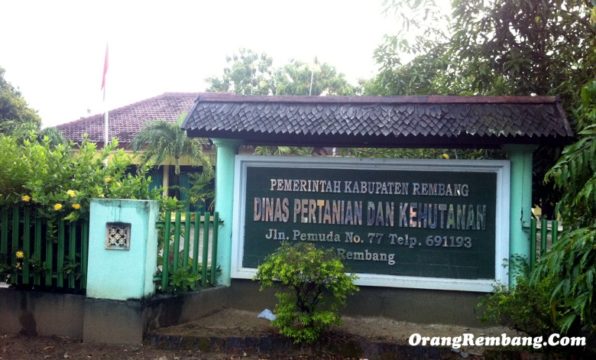 alamat-kantor-dinas-pertanian-dan-kehutanan-kab-rembang.jpg